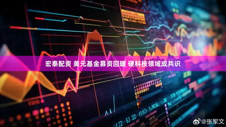 宏泰配资 美元基金募资回暖 硬科技领域成共识